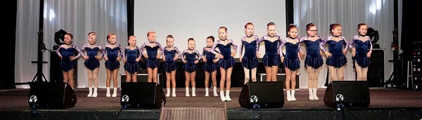 Liedjesavond 2015/2016
