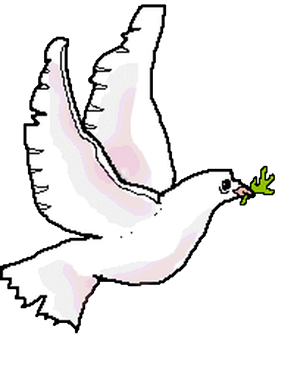 De duuve van de Petruskerk