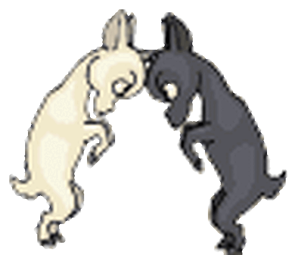 Een keer zulde winne