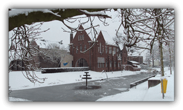 Het leven is een feest