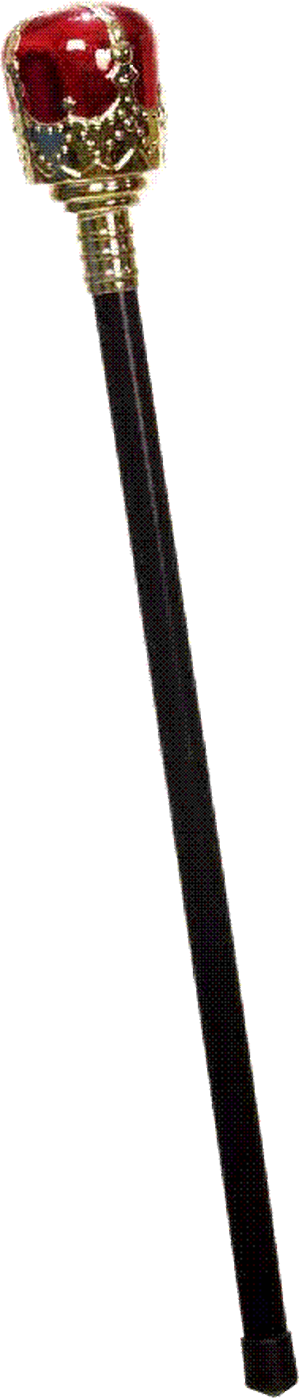 De scepter van de prins